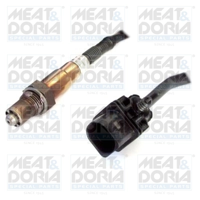 Oxygen Sensor